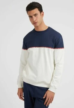 Guess Optik - Sweater - Blau